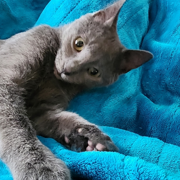 Meet your Posher, Danette - Picture 5 of 6